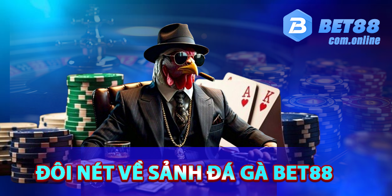 Giới thiệu sơ lược về sảnh đá gà BET88