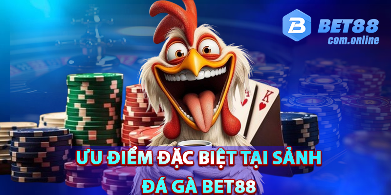 Những ưu điểm đặc biệt tại sảnh đá gà BET88