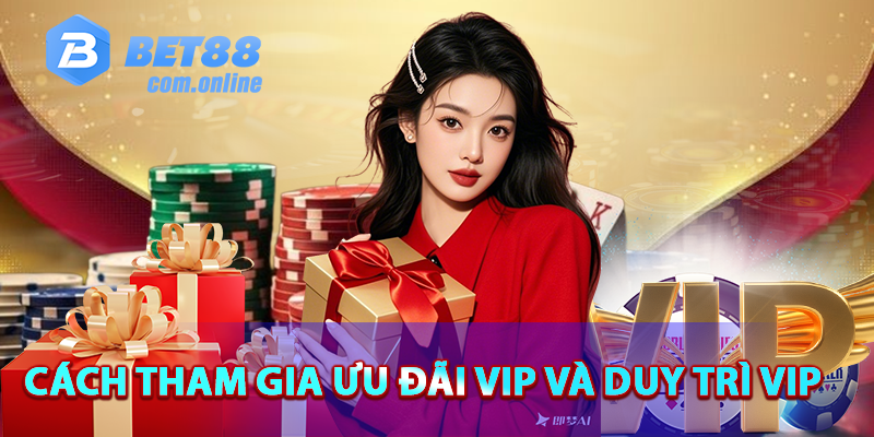 Cách tham gia ưu đãi VIP và duy trì VIP